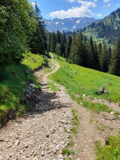 Almstube - Bad Hindelang - 1