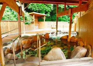 平山温泉 奥山鹿温泉旅館 - Yamaga - 5