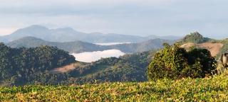 แจ่มฟ้าเมาท์เท่นวิว Chaemfa Mountain View - Ban Muang Kut - 6