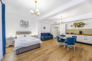 Alpin Clabucet Studio - Predeal - 0