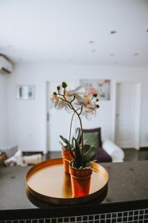 Prestige Apartment Teslic II - Teslić - 9