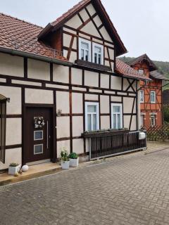 Ferienhaus Reschwitzer Auszeit - Saalfeld - 0