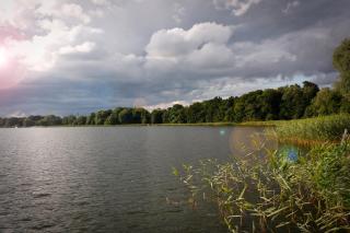 Bungalow mit Wintergarten - 6