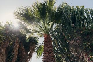 Private Pet Friendly Villa - 1