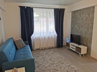 Serene Home - Mediaş - 8