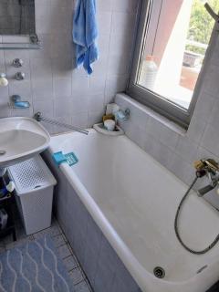 Kursumlijska Banja- Apartman Savic - 1
