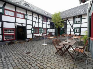 Nostalgic apartment in the Eifel region - Schleiden - 0