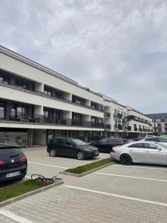 LeCo Studio Brasov - Braşov - 8