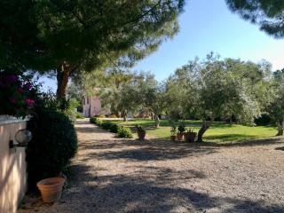 Sognatori Guest House - 400 mt from the Poetto beach - Quartu SantʼElena - 7