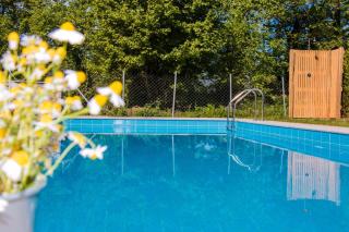 Aristotelia Gi Ikies - Olympiada Poolside Retreats - Olympiada - 0