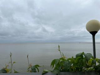 Nida Curonian Lagoon - 5