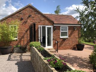Betula Views Studio - Newent - 7