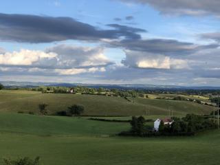 Betula Views Studio - Newent - 6