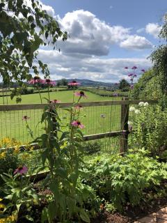 Betula Views Studio - Newent - 5