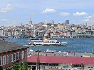 Golden Horn Bosphorus Hotel - Istanbul - 7