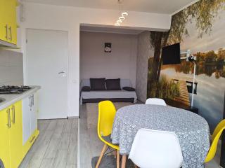 Cazare Apartament 2 camere Militari Residence - Roşu - 4