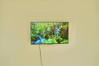 Nature’s Paradise - 3