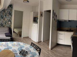 Appartement T2bis proche centre, 4-6 pers, parking - FR-1-234-297 - Cauterets - 7