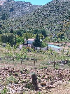 Casa Rural GUADALUPE de la fuenfria - Igualeja - 7
