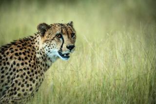 Africa on Foot - Reserva Natural de Klaserie - 5