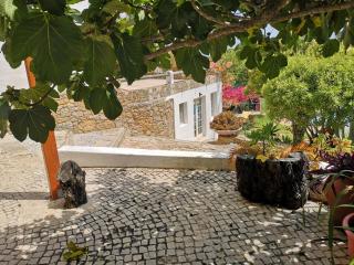Casa de Pedra e Cal - Vale da Rosa - 6