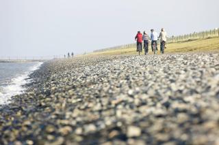 Ferienwohnungen Briesenick-Radde Fewo Strandrose Tossens - Tossenserdeich - 1