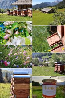 Antenbichllehen Ferienwohnungen - 6