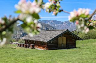 Antenbichllehen Ferienwohnungen - Berchtesgaden - 4