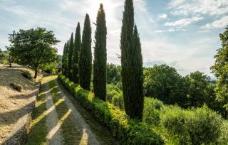 3 Bedroom Beautiful Home In Arezzo - 3