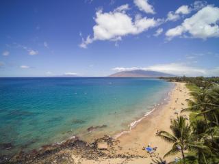Kamaole Beach Club C-106 - Kihei - 4