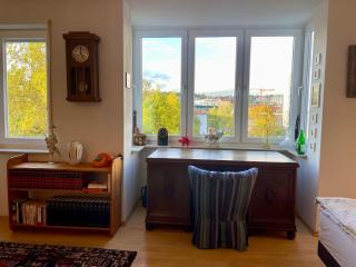 Wunderschönes Apartment im Zentrum Goldstadt Pforzheim - Pforzheim - 9