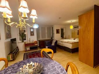 Wunderschönes Apartment im Zentrum Goldstadt Pforzheim - Pforzheim - 6