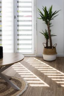 Chartres - Le Saint Pierre - 6