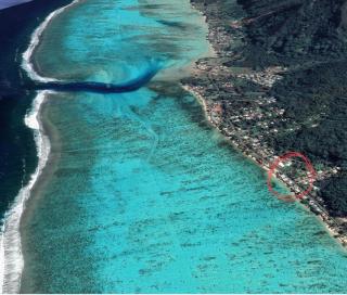 Fare Juliette - Moorea - 8