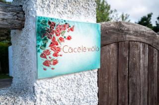Ca cele viola - Klodge - Olbia - 7