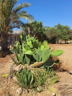 Mediterranean Sunset 2 bedroom bungalow with breathtaking sea views - Chlorakas - 9