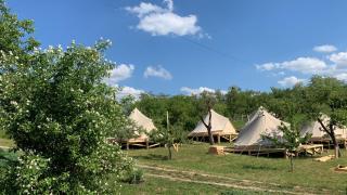 Maramures Glamping Resort - - 2