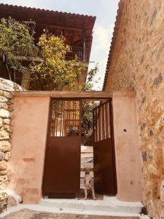 Grandpa's Chill House - Oitylo - 8