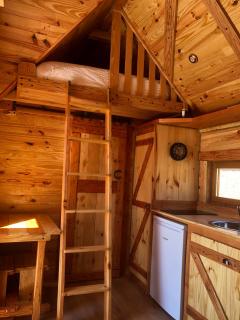 Domaine Rosfelder - locations de gîte et cabane insolite - Gertwiller - 6