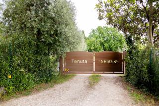 Tenuta EnGi - Verona - 9