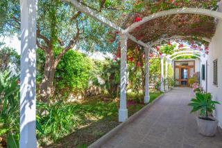 Can Mir - Alcúdia - 6