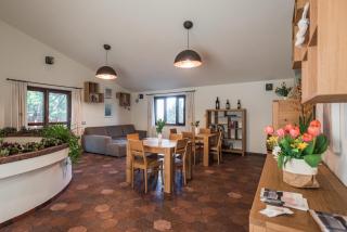 Seguire Le Botti - Agriturismo Cantina Sant'Andrea - 6