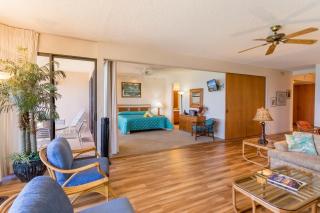 Outstanding ocean Views 2Bd! sk373 - Sullivan - Kahana - 1