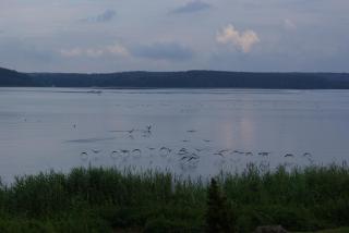 Haus Seeperle E - Plau am See - 8