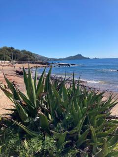 Bord de mer - Saint-Raphaël - 1