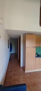 Appartement T3 Marine de Bravone proche mer - Linguizzetta - 7