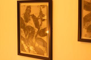 GURUS FR | Aparta Loft cerca hospital, Aeropuerto, escritorio - 1