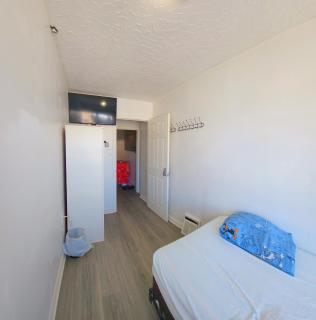 Private Single Cozy Room with Netflix and All Perks - 9