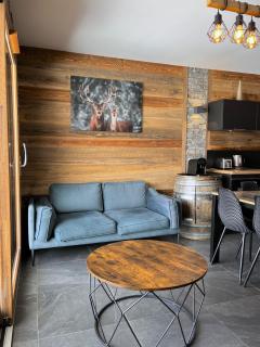 Appartement de standing 8 au pied des pistes - OLVERA 202 - Valmeinier - 3