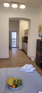 RAUM-Viktoria apartman - Praga - 5